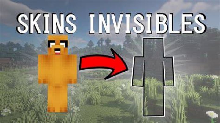 How to get invisible skin in minecraft