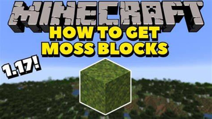 How to get moss in minecraft 1.17