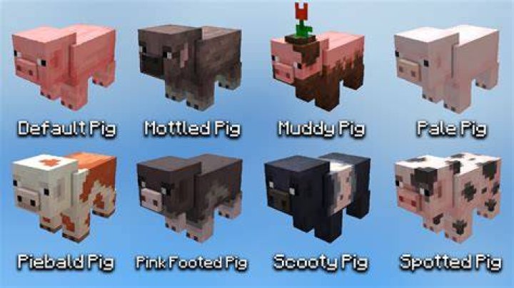 How to lead a pig in minecraft
