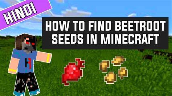 How to make beetroot seeds in minecraft