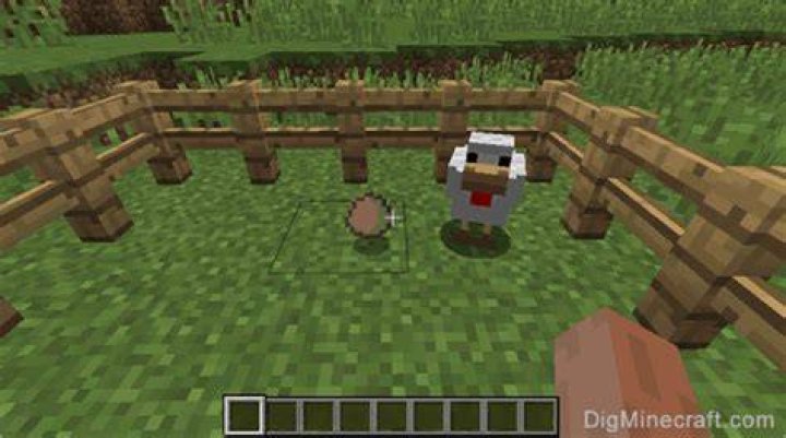 How to make chickens lay eggs minecraft