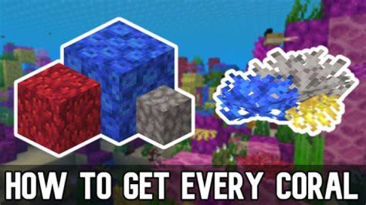 How to mine coral blocks in minecraft