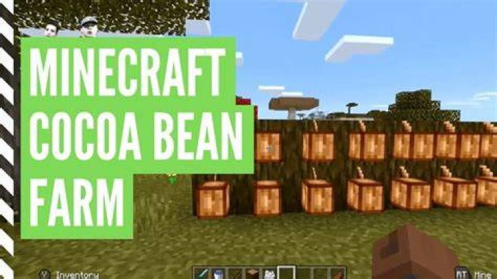 How to plant cocoa seeds in minecraft