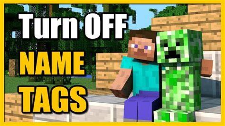 How to remove name tags in minecraft