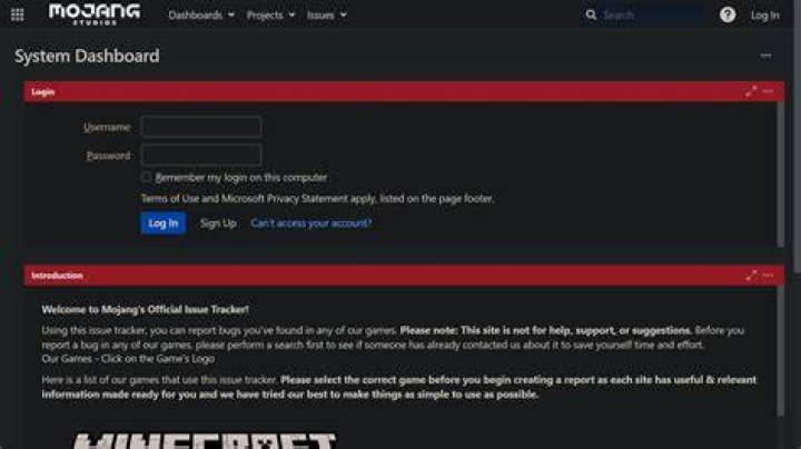 How to report a bug in minecraft