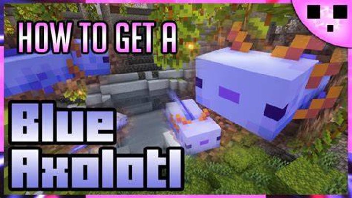 How to summon a purple axolotl minecraft