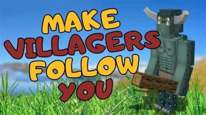 Minecraft how to make villagers follow you