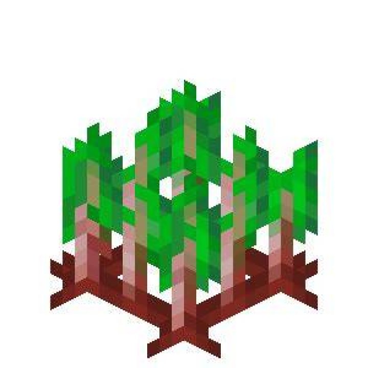What are beetroots used for in minecraft