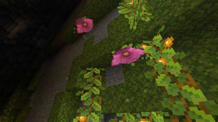 What do spore blossoms do in minecraft