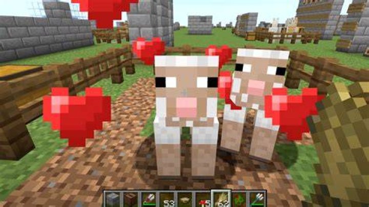 What food do sheep like in minecraft