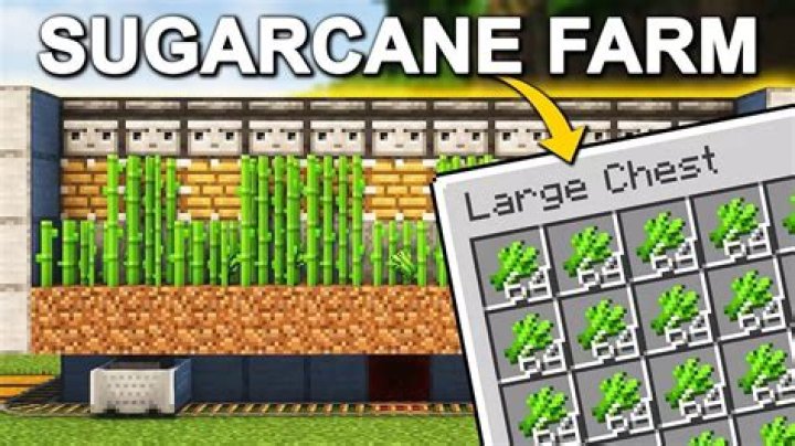 What is sugarcane used for in minecraft