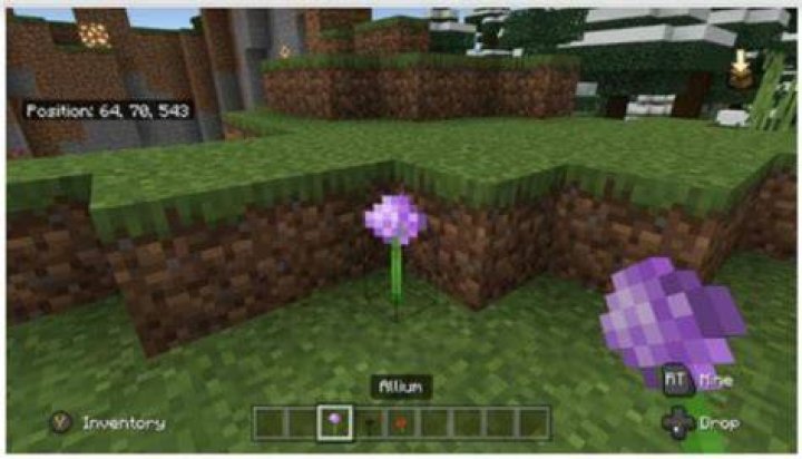 What is the rarest flower in minecraft