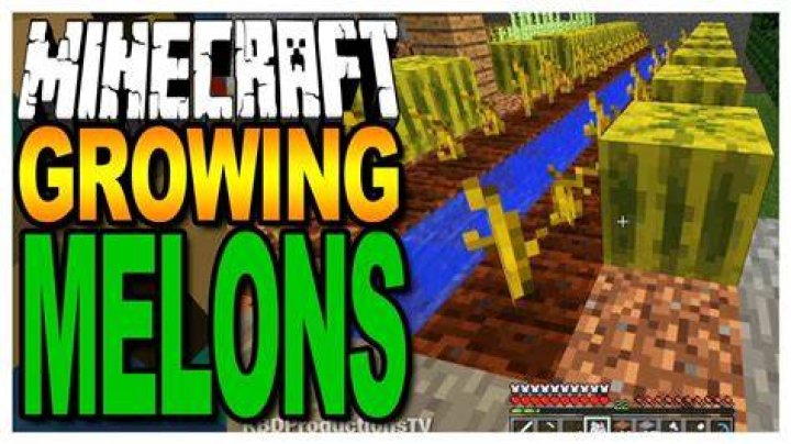 Where can you find melons in minecraft