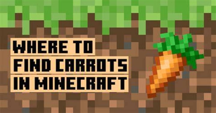 Where do i find carrots in minecraft