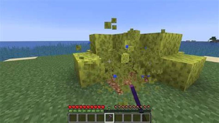 Where do you find sponges in minecraft